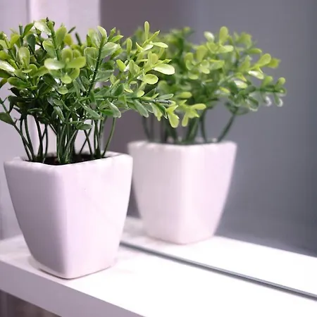 Casa Melu - Centro *