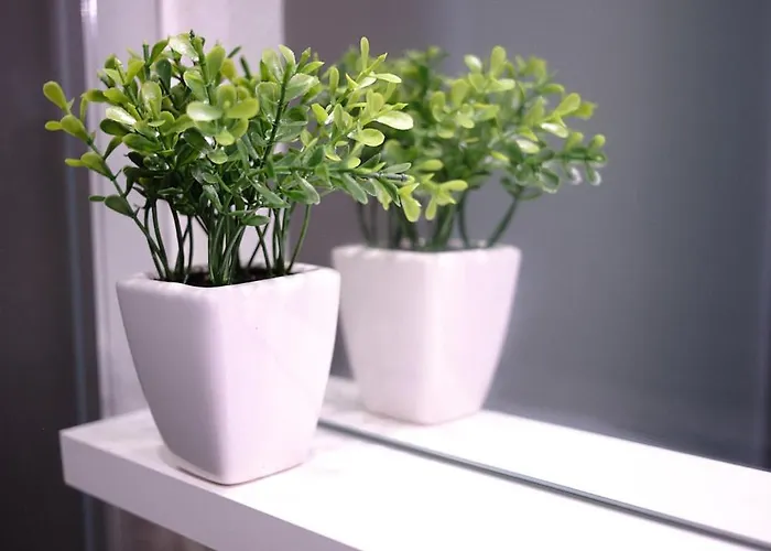 Casa Melu - Centro *